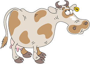 Random tallest image